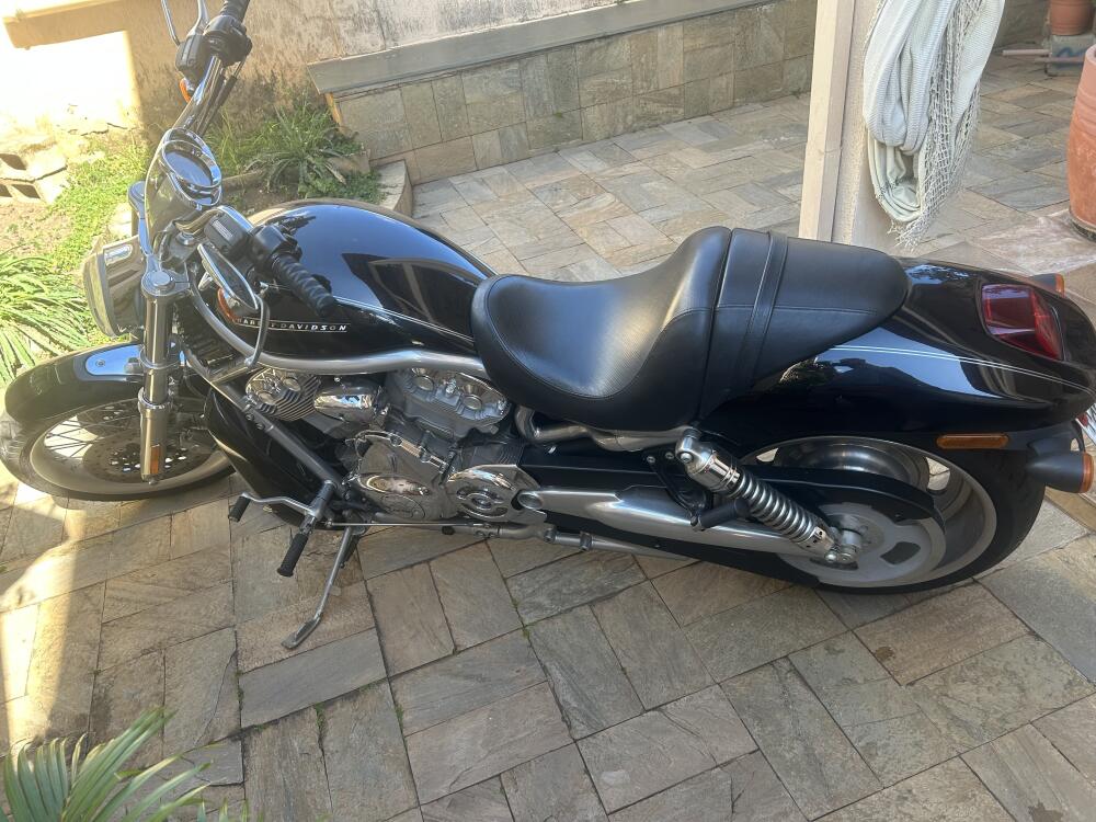 Harley Davidson V-Rod