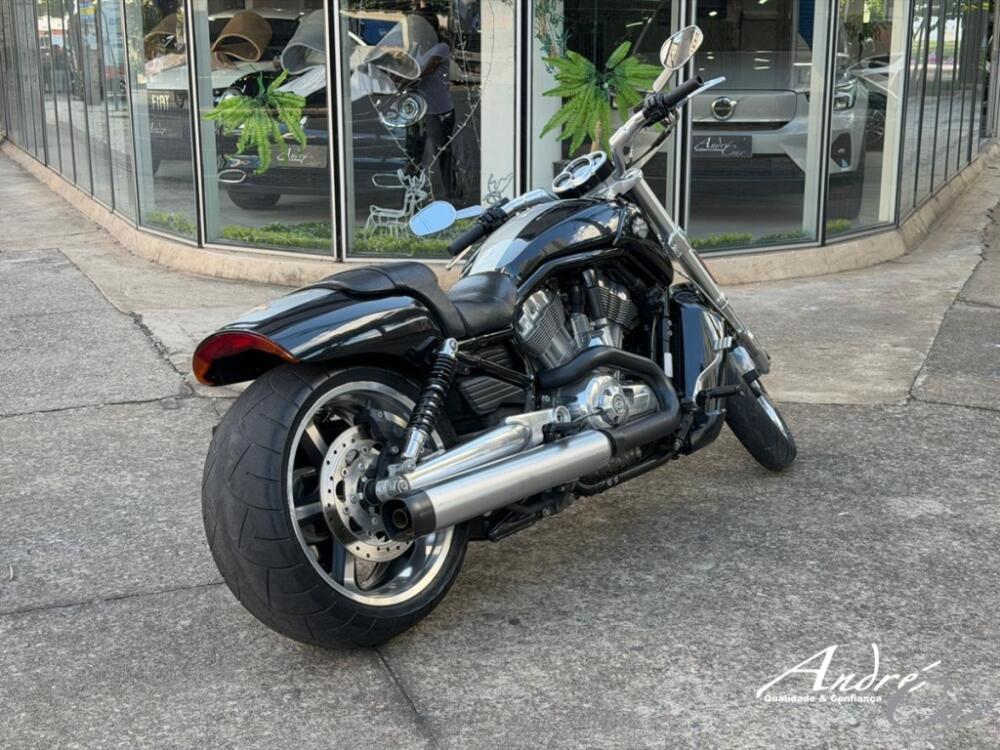 Harley Davidson V-Rod
