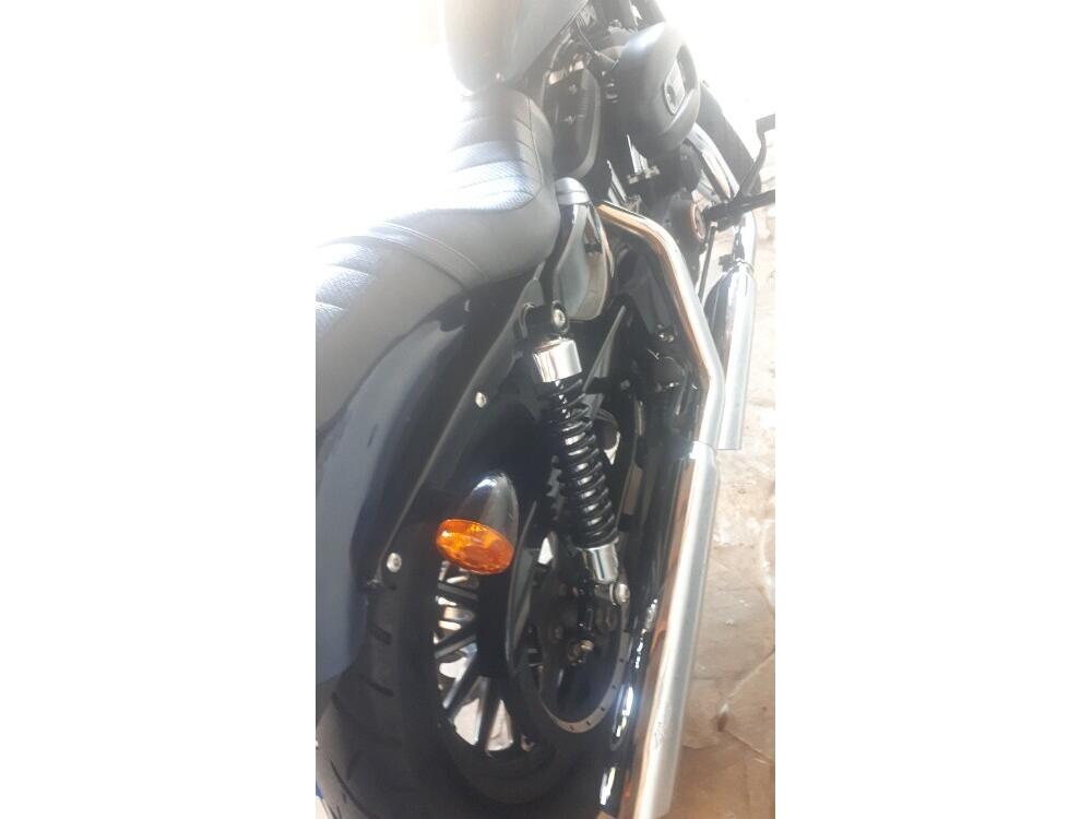 Harley Davidson XL 883