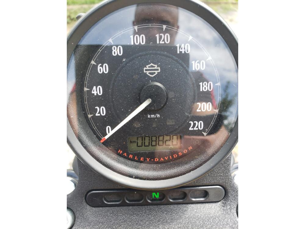 Harley Davidson XL 883