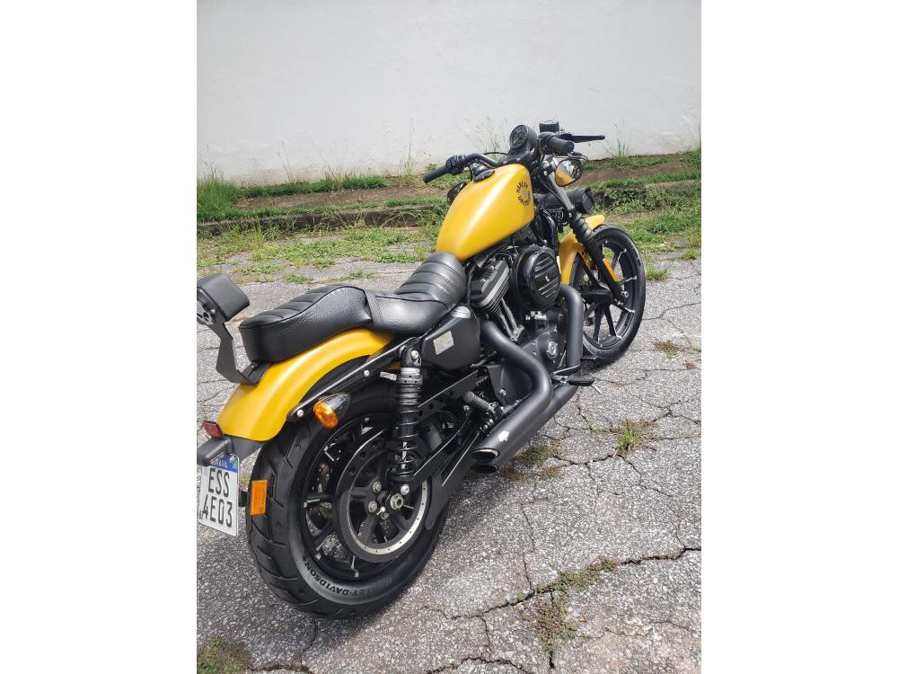 Harley Davidson XL 883