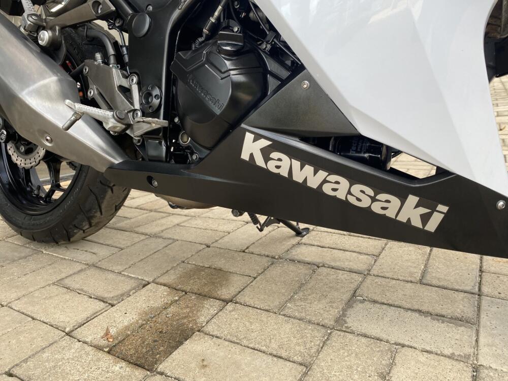 Kawasaki NINJA 300
