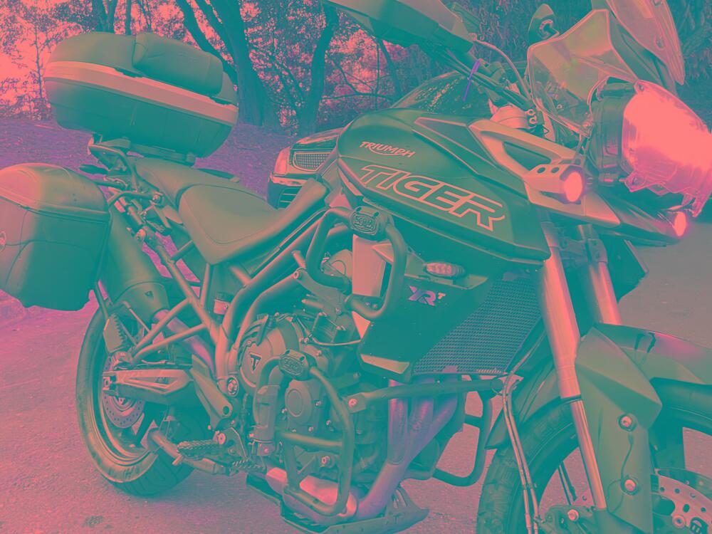 Triumph Tiger 900