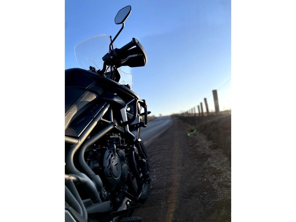 Triumph Tiger 900