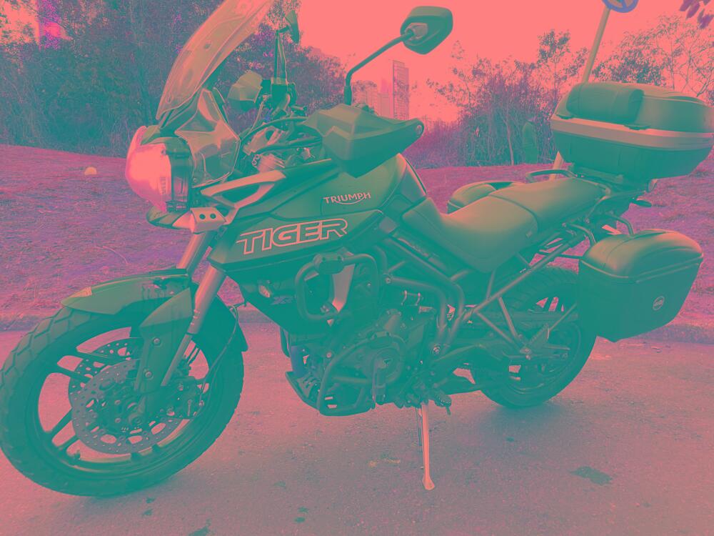 Triumph Tiger 900