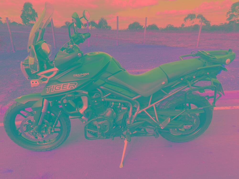 Triumph Tiger 900