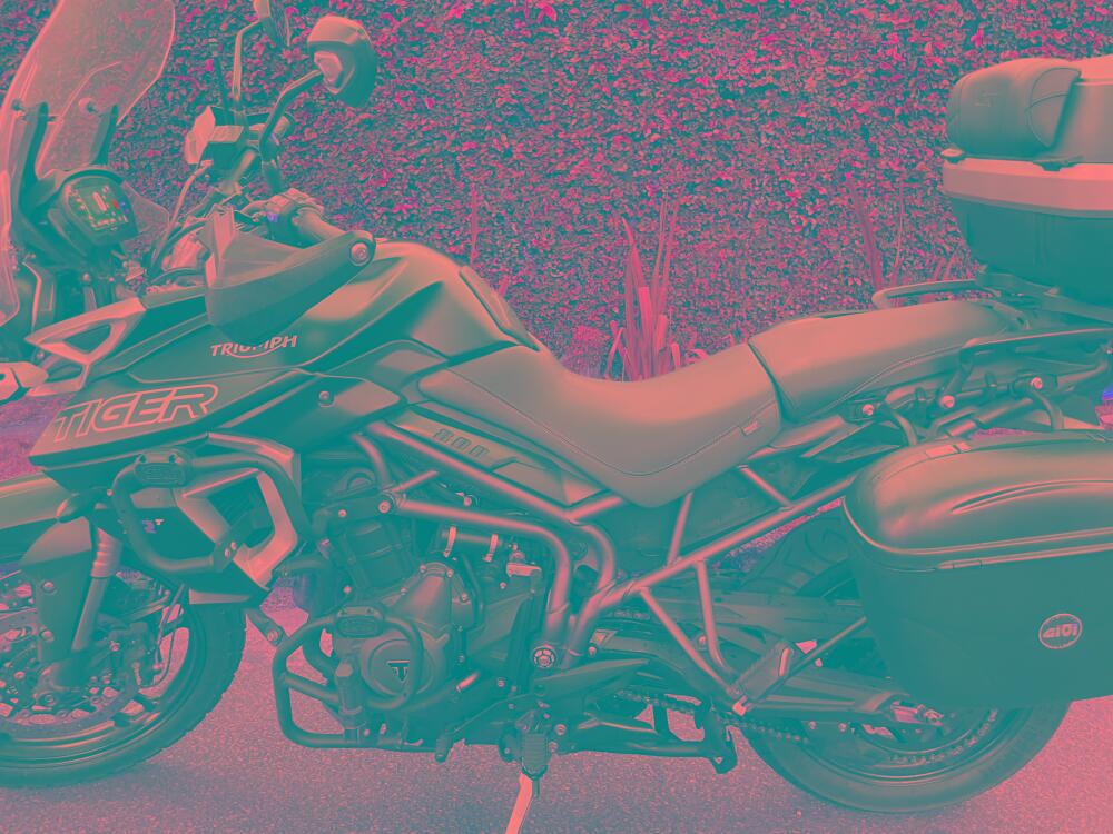 Triumph Tiger 900