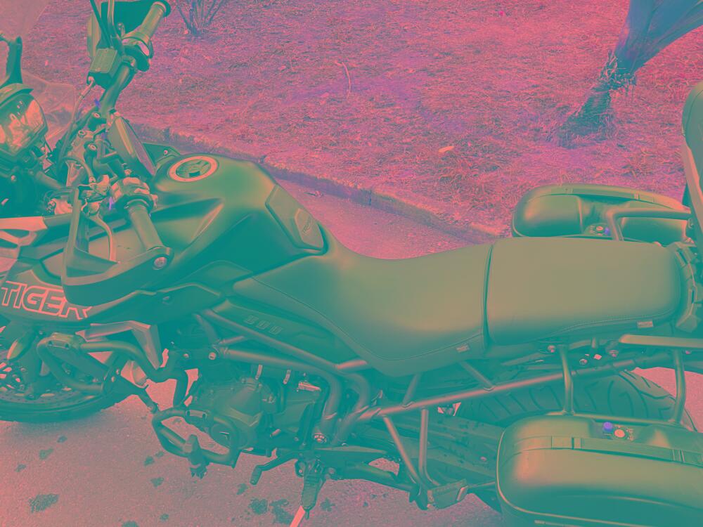 Triumph Tiger 900