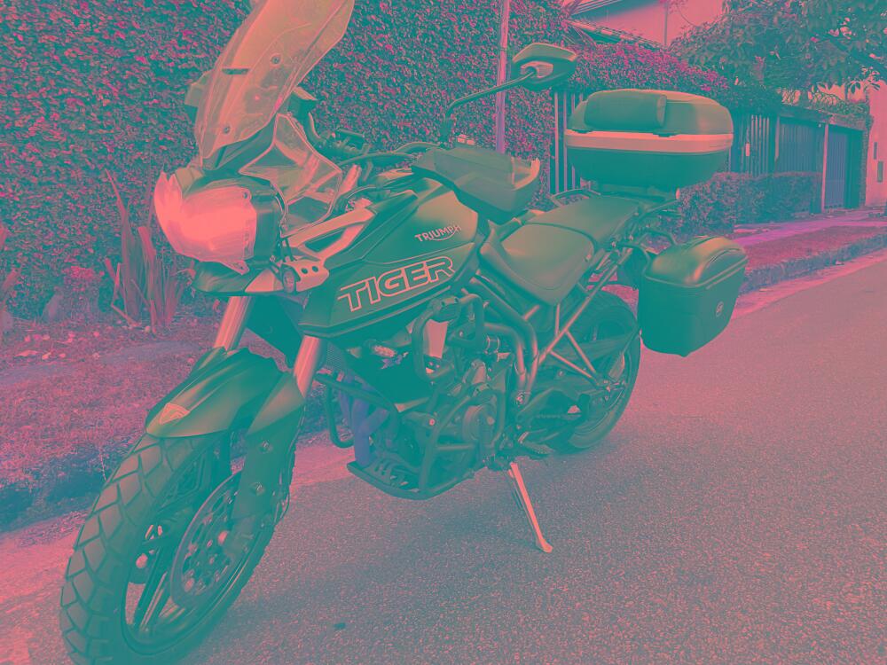 Triumph Tiger 900
